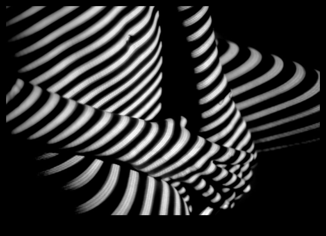 Καλλιτεχνικές εντυπώσεις που αποτυπώνουν την υφή μέσω δημιουργικών γραμμών 4 Καλλιτεχνικές εντυπώσεις: Αποτύπωση υφής μέσω δημιουργικών γραμμών