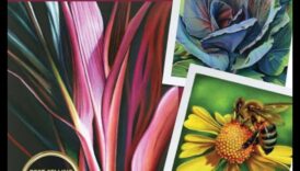 The Magic of Hues: Δημιουργία μαγευτικών σκηνών με χρωματιστά μολύβια