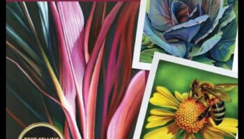 The Magic of Hues: Δημιουργία μαγευτικών σκηνών με χρωματιστά μολύβια