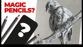 Μαεστρία γραφίτη: Ανυψώστε τις δεξιότητές σας στο σχέδιο με το μολύβι